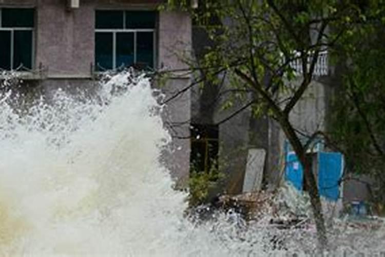 梦到大雨洪水什么预兆呢