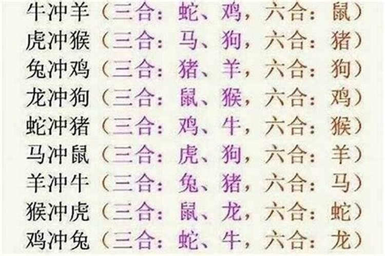 属牛与属兔的八字合不合