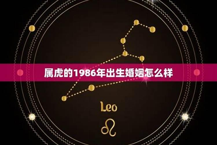 1986年出生的人婚姻