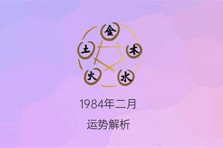 1984年二月初五卯时八字