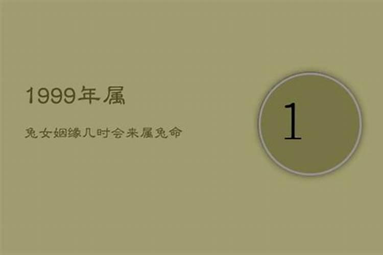 99年的兔今年运气怎么样啊