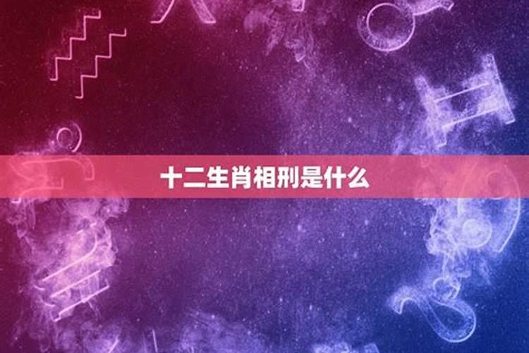 生肖的相刑相害如何化解运势