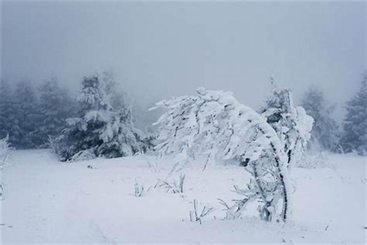 做梦梦到暴风雪一会儿就天晴了