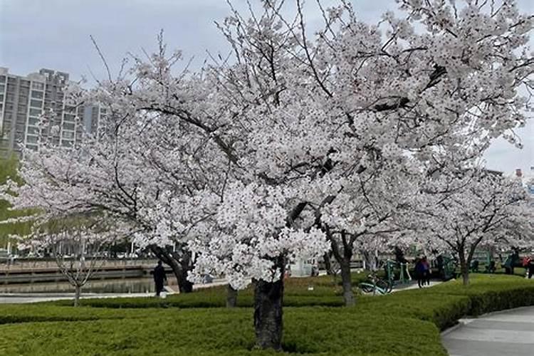 2021年犯太岁符什么时候烧