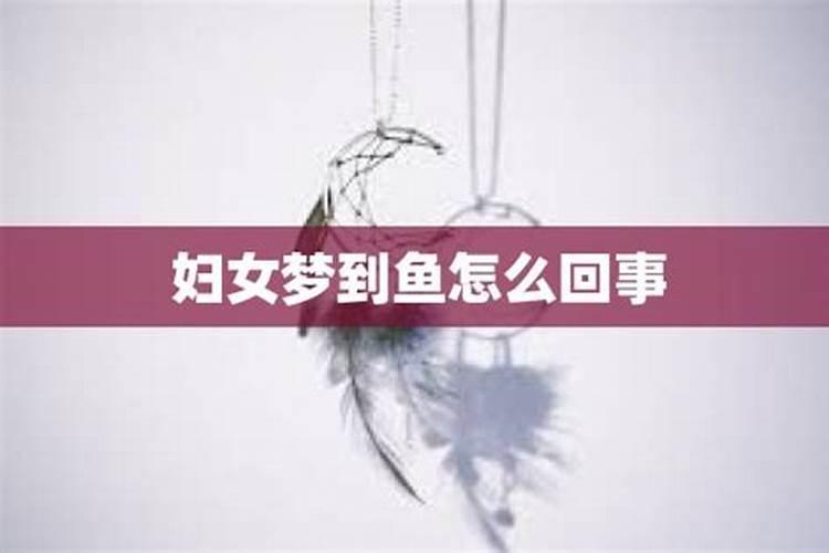 梦见活鱼死了是什么兆头周公解梦