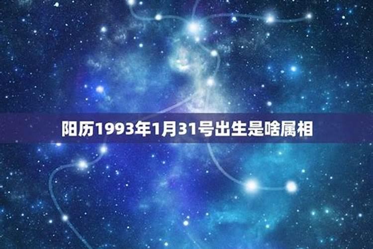 94年1月属什么