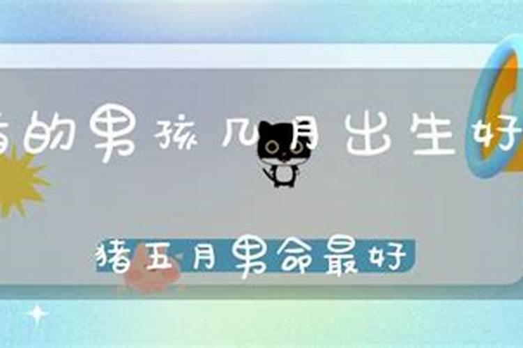 生肖猪几月份出生最好呢