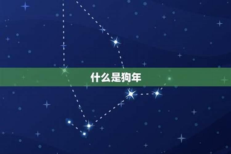 狗宝宝今年的运势