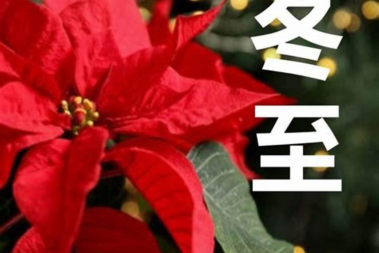 哪一年冬至节12月22日