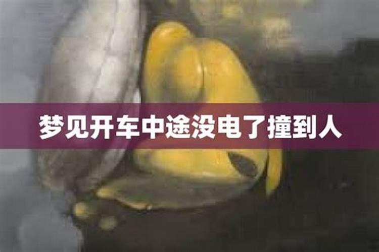 梦到车没撞到我