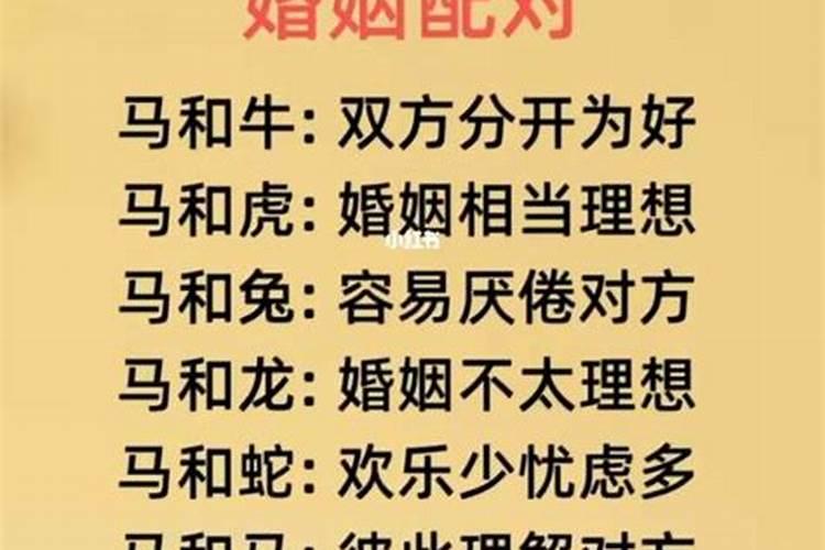 1978年属马的最佳配偶属相