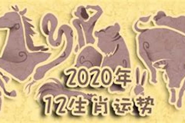 十二生肖2020年12月31日运势