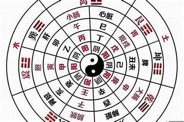 怎么算八字的阴阳