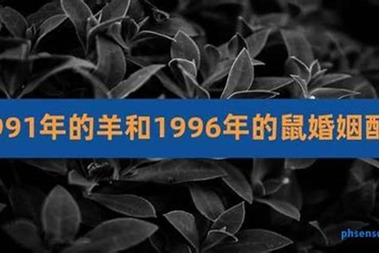 91年男配94年女属狗合适吗