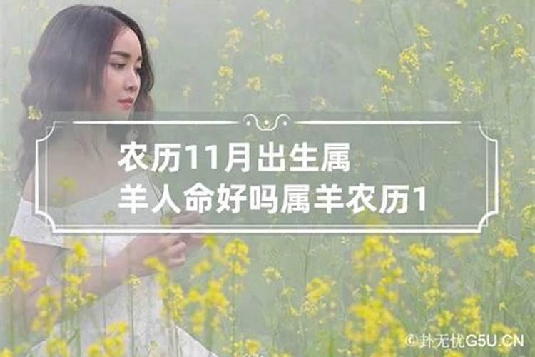 属羊农历11月出生的女人好不好