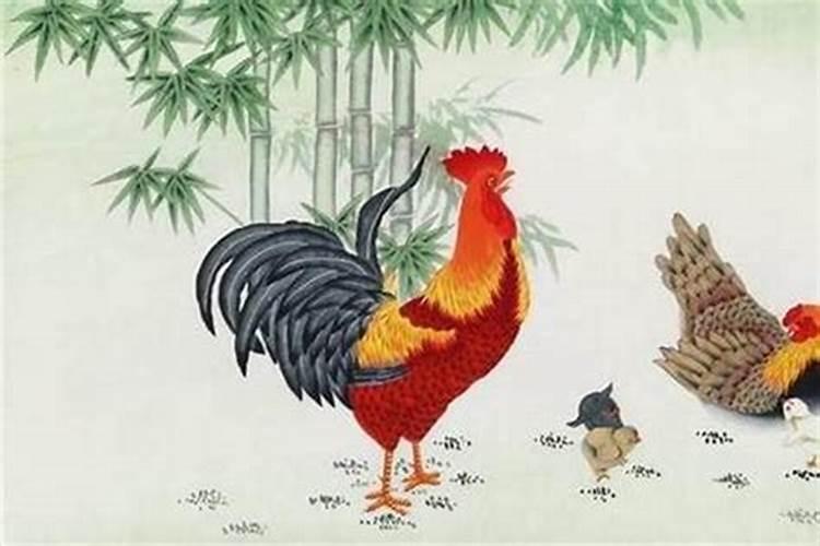 属鸡今年的桃花运程