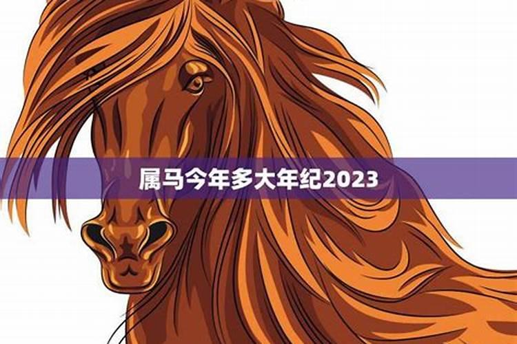 属马的人2023年运程5月