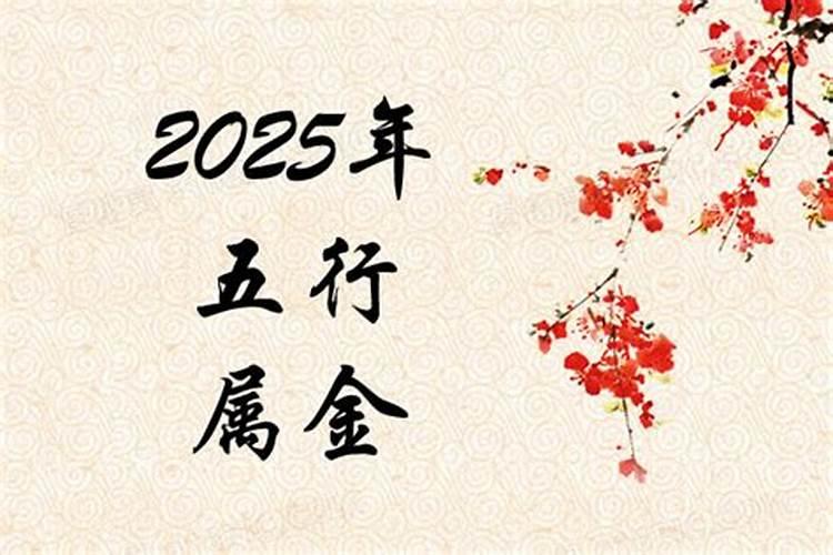 2025是什么年属什么年什么命