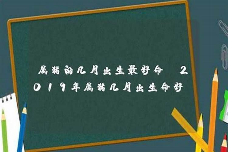 2019年属猪几月生人命运最好