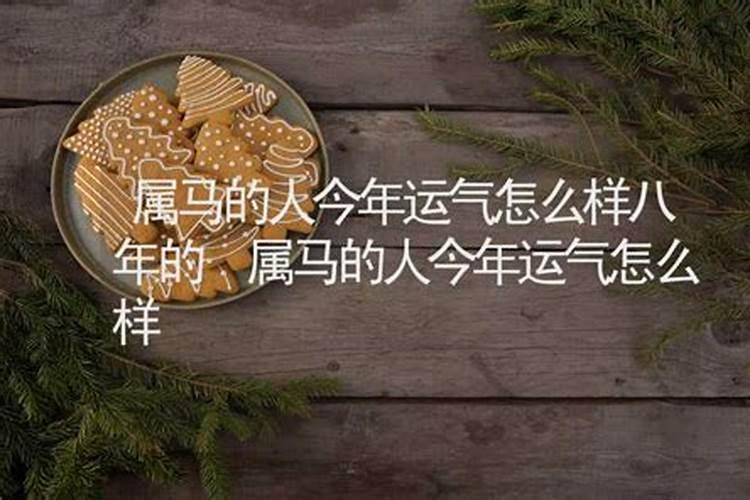 属马的人今年运气怎么样七八年生的