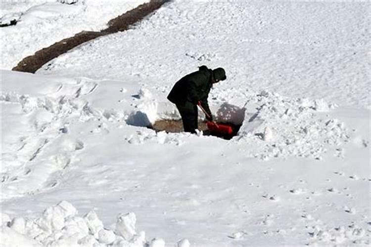 为什么梦见铲雪不好