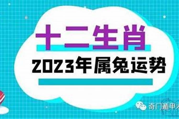 十二生肖2023年兔年运程