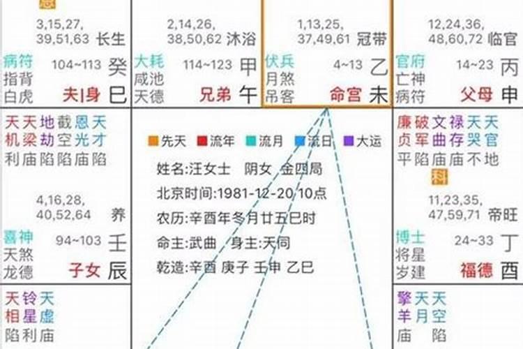 紫微斗数免费算命