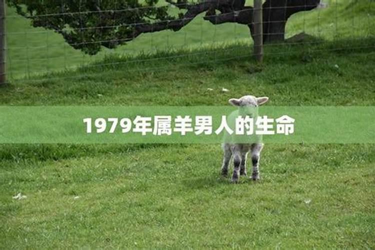 1979年属羊男一生运势及运程