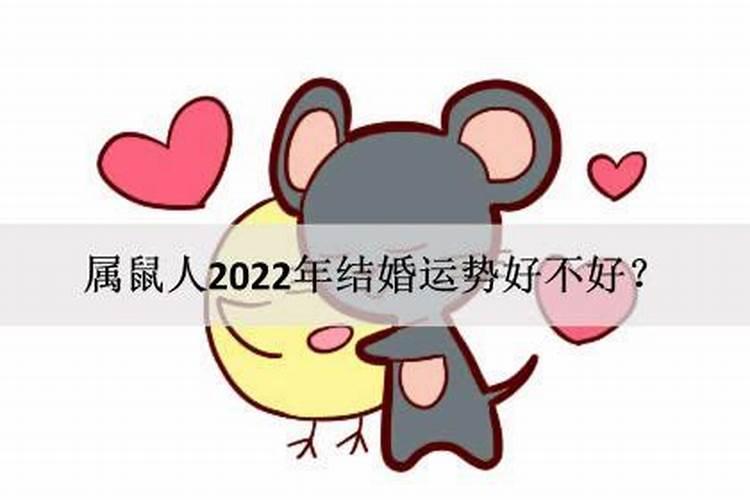 属鼠2022年结婚好不好