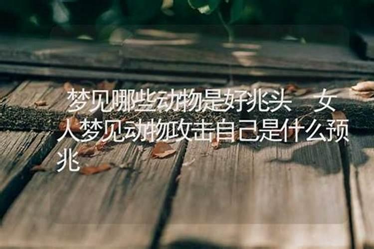 梦见什么才是好兆头的预兆