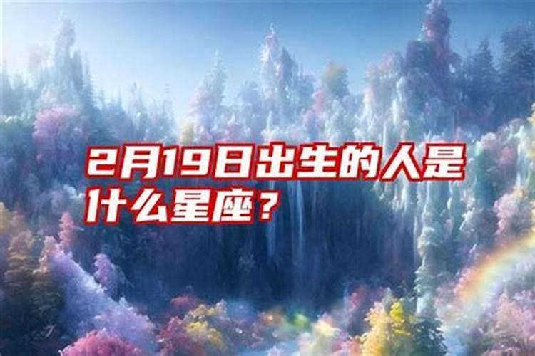 是2月19日生的星座是什么