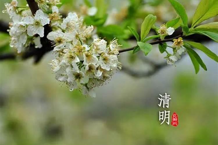 清明节在哪里烧纸