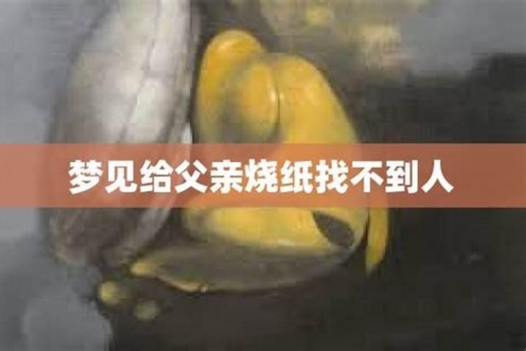 儿子梦见找不到爸爸