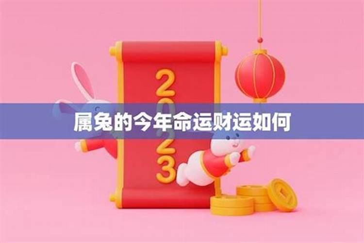 属兔的人今年的运势财运