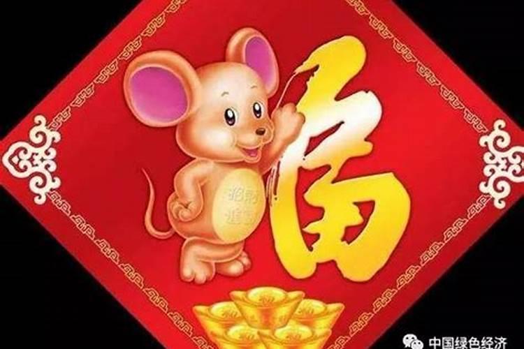 属鼠金今年运势怎么样