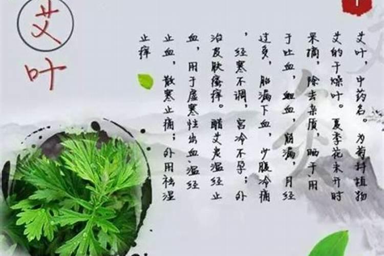 端午节艾炙哪好