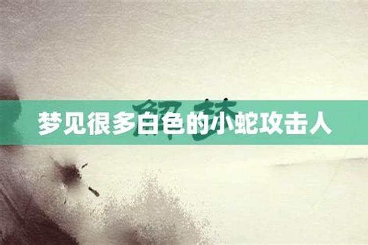 梦见很多蛇要攻击我们村