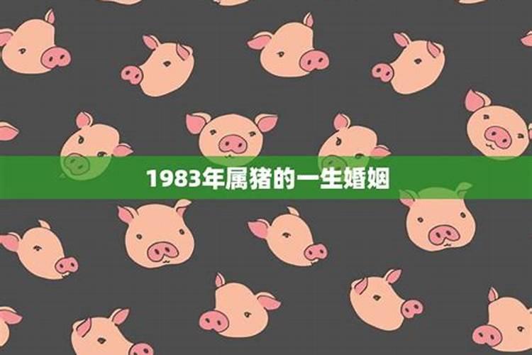 1983年属猪的一生运程