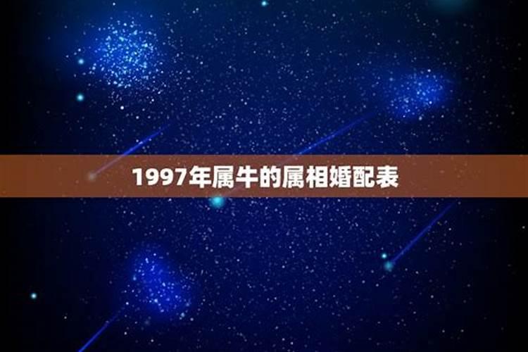 1997年属牛的男