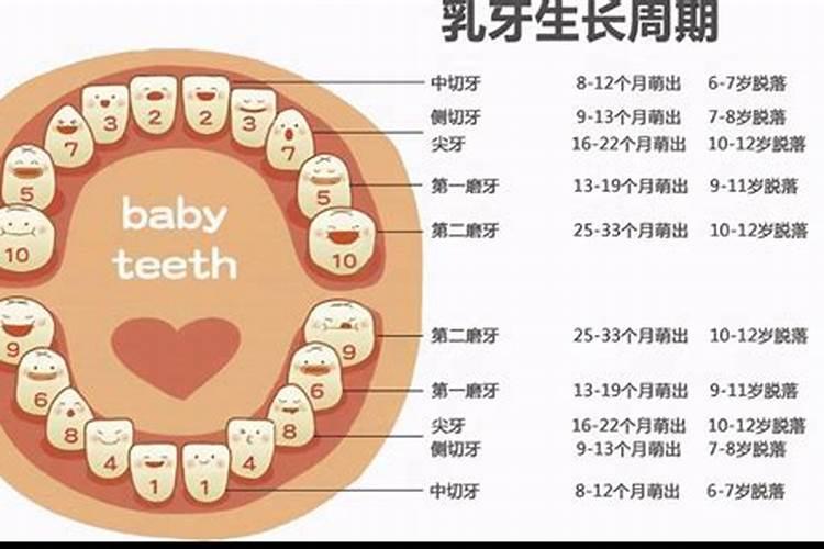 梦见7个月宝宝长牙齿