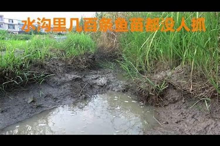 梦见沟里的水干枯了什么预兆周公解梦