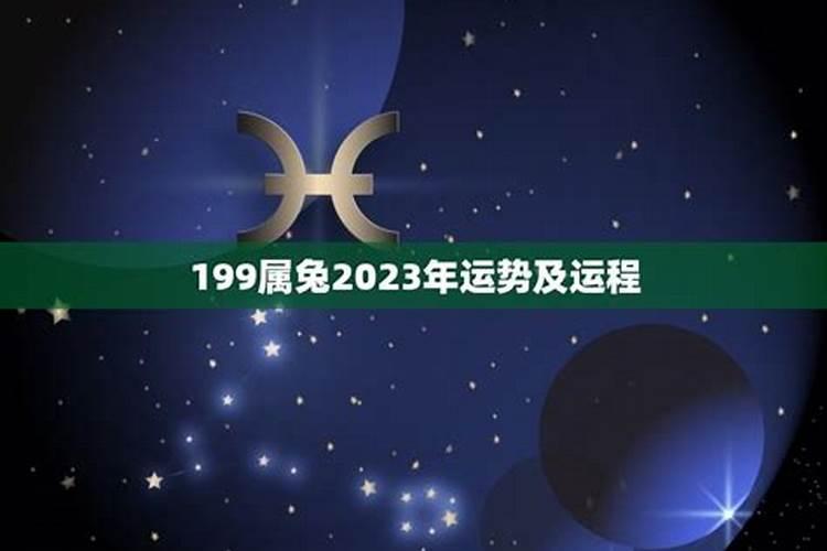 生肖兔属木2023年运势