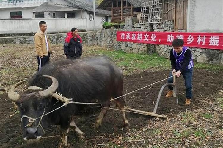 浙江杭州冬至有什么风俗