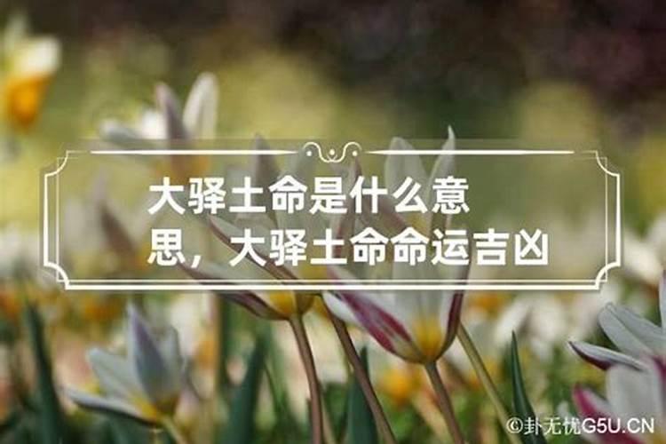 婚姻在八字里看什么