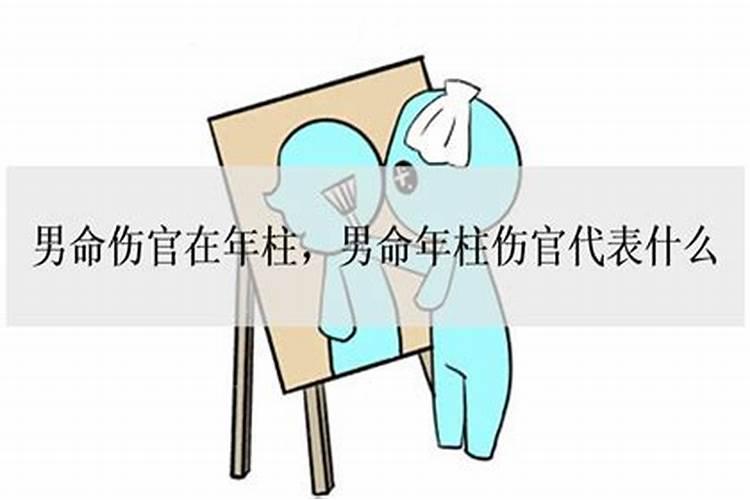 男命伤官多代表什么命运