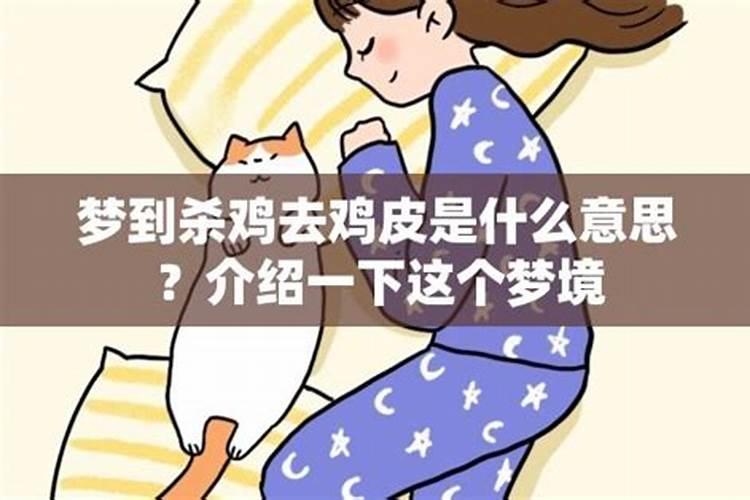 鸡狗属相合婚吗