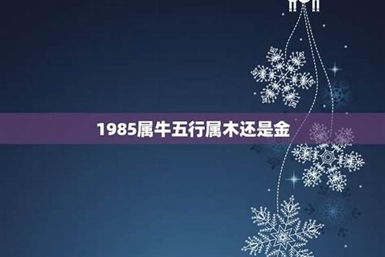 1985什么命五行属什么木取名好呢