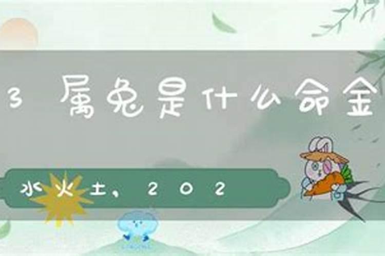 2023年属兔是啥命,金木水火土哪个