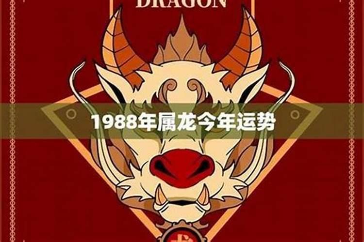 1988的龙今年的运势