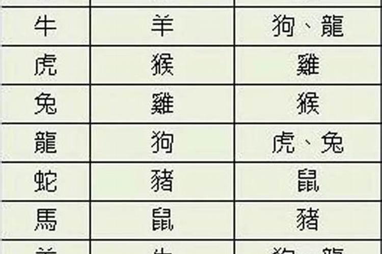 牛兔的生肖会不会相冲